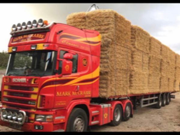 Super 2022 Hay/straw/Beet/Maize Silage