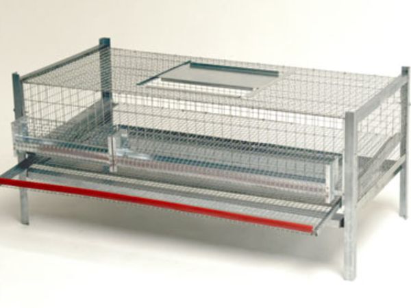 Quail Laying & Breeding Cages