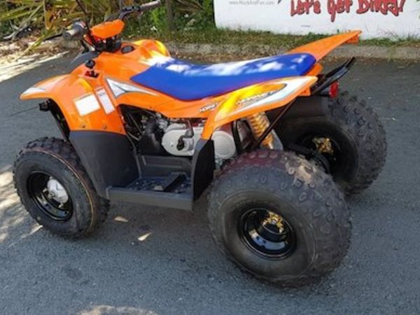 Mini quad hotsell bike 100cc