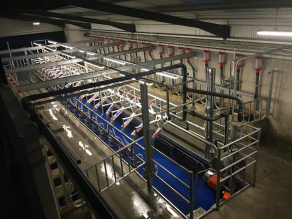 New Parlours & Milking Machine Upgrades