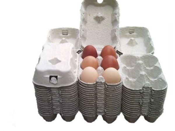 Egg Boxes, Egg Trays, Quail Boxes & Egg Stamps