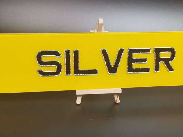 Pair of 3D Gel Silver Number Plates