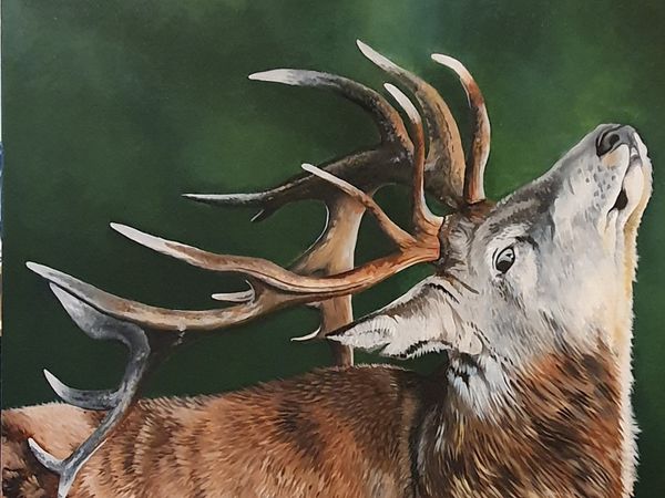 ,,The Young Stag" Original oil painting
