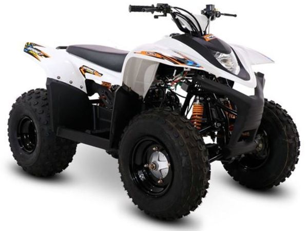 SMC HORNET 100 CC quad (2 year warranty/DELIVERY)