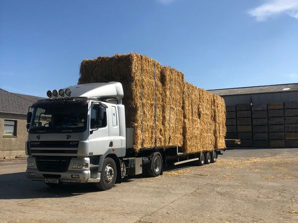 8/3/3  Bales of barley and wheaten straw for sale.