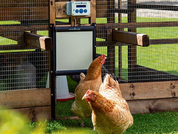 ChickenGuard Poultry House Doors & Door Openers