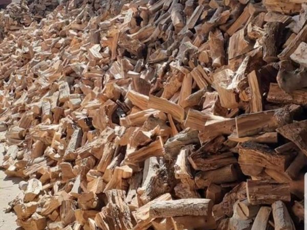 Dry Olive firewood for sale
