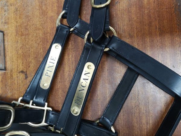 Leather Headcollar with Engraving