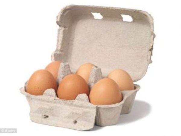Egg Packaging - Nationwide Delivery