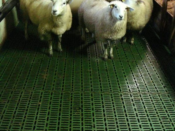 MIK Plastic Slats for Pigs & Sheep