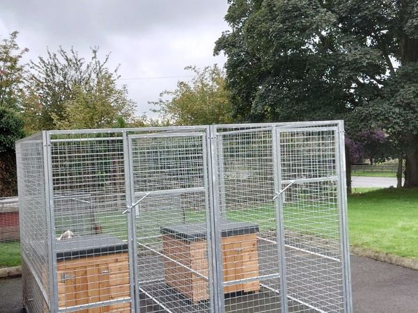 Galvanised dog pen cage kennels