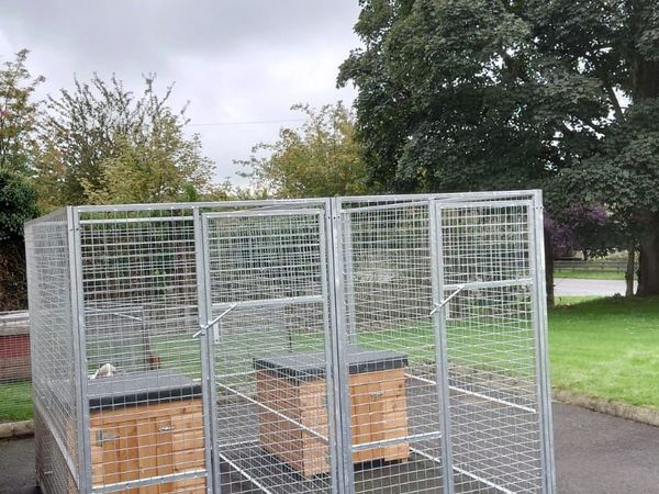 Galvanised dog pen cage kennels for sale in Co. Armagh for 400 on