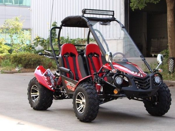 New High Spec adult size buggy