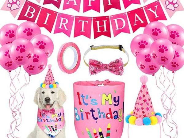 Birthday Gifts for Dogs