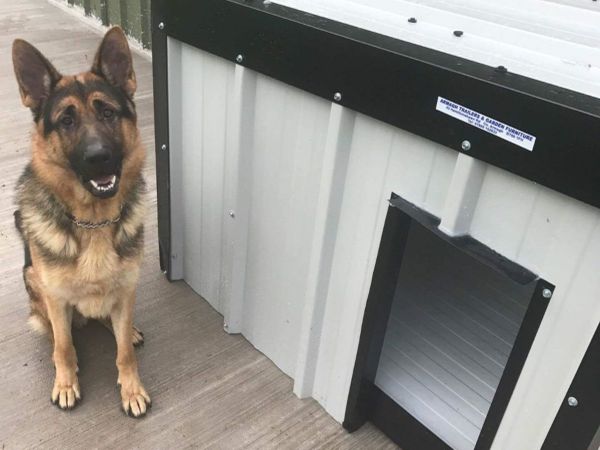 Kingspan dog clearance kennels