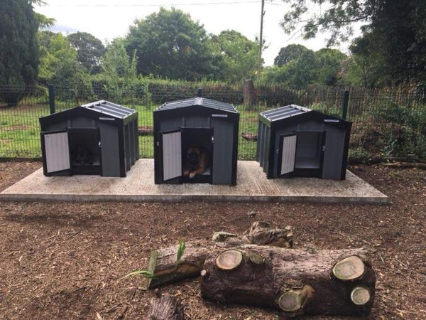 Done deal cheap dog kennels