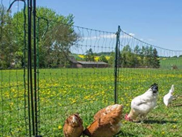 New Electric Poultry Fencing / Netting for Sale