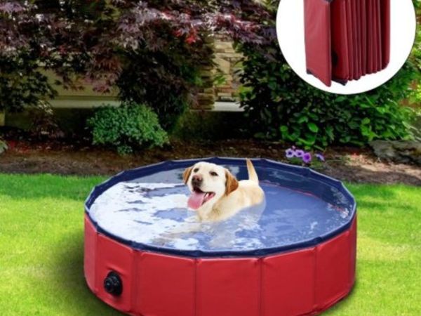 Dog swimming pools for hot sale sale