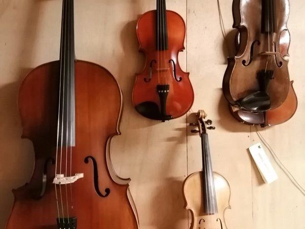 Violin s ,Cello . Viola. . D, Bass.