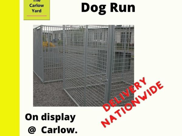 dog runs