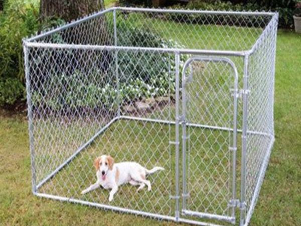 Dog kennels best sale done deal