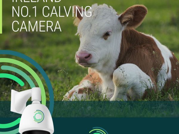 Calving,Lambing, Security and Foaling cameras
