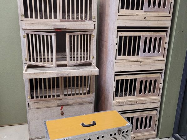 Pigeon nest boxes
