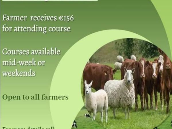 Places available in Granard Saturday call now