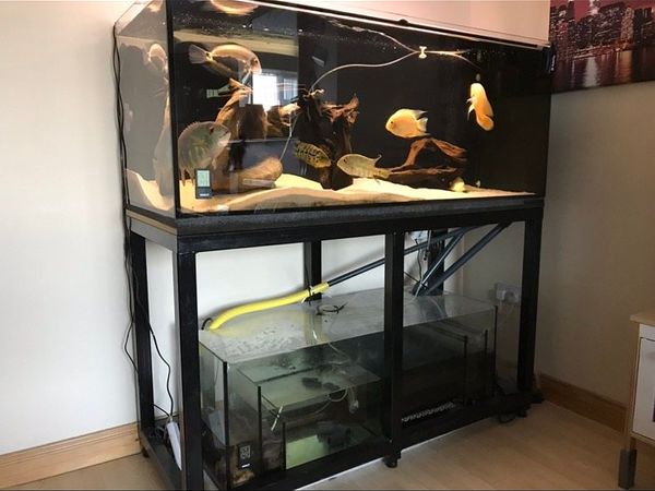 500L TANK WITH SUMP