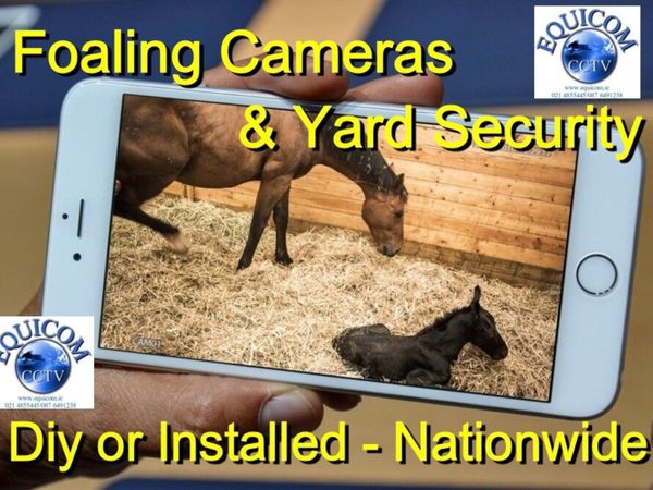 Foaling Cameras & Yard Security