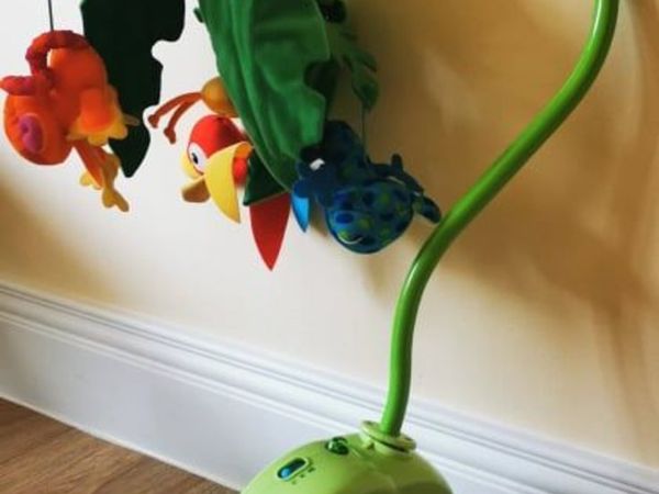 Fisher Price Rainforest Peek-A-Boo Leaves Musical