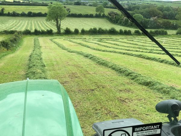 Silage cutting with wagon