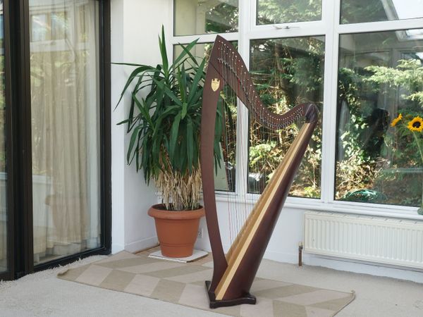 Lyon & Healy Trubodour VI lever Harp
