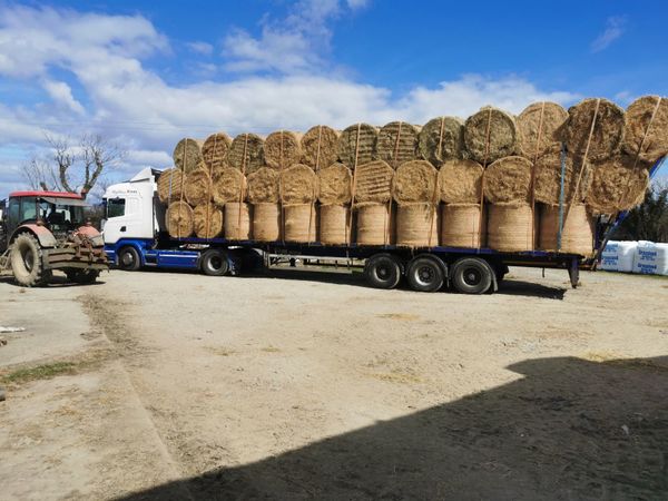 For sale top quality june hay hard centre bales