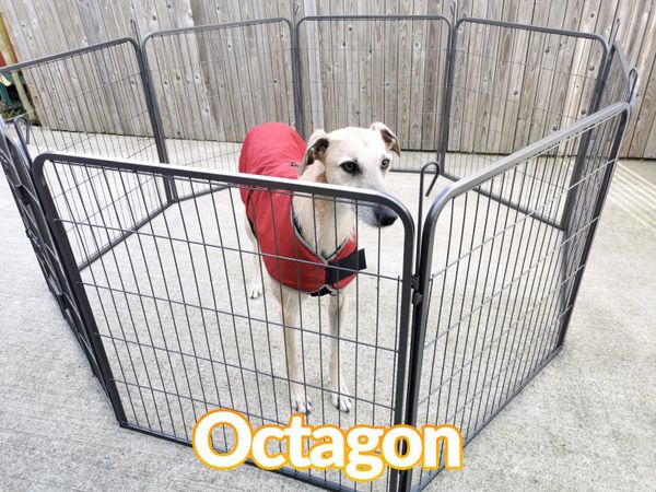 The Dog Pen 8 Sided for sale in Co. Dublin for 99 on DoneDeal