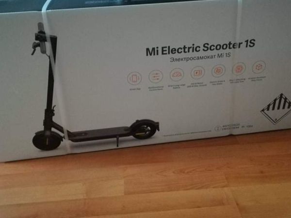 Electrick sqooter