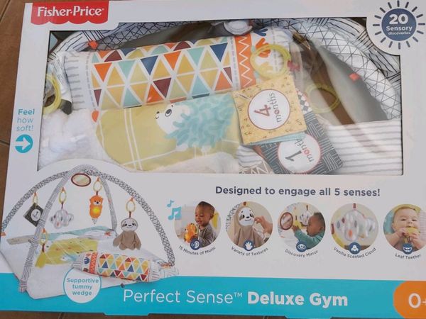 Perfect Sense Deluxe Play Gym