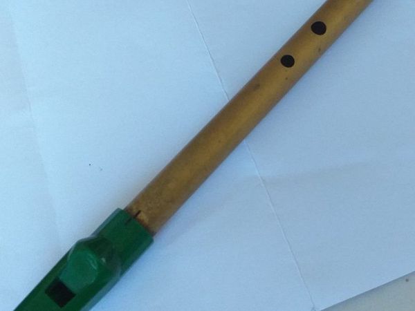 Tin Whistle lost in Amiens Street near Cleary's pub