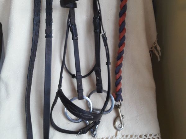 Berney PONY bridle and reins