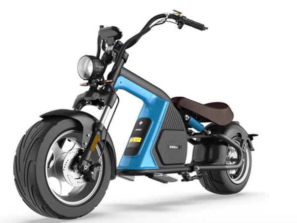 Mangosteen M8 2000w Electric Motorbike