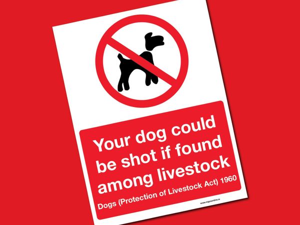 Protection of Livestock Signs