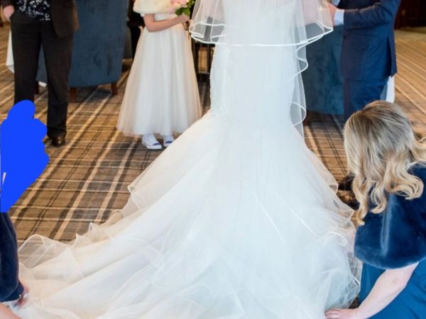 Wedding dress & full length sparkle veil