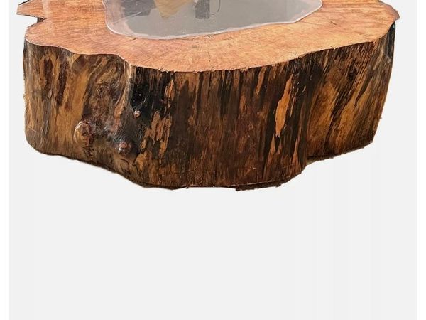 Oak tree trunk coffee table