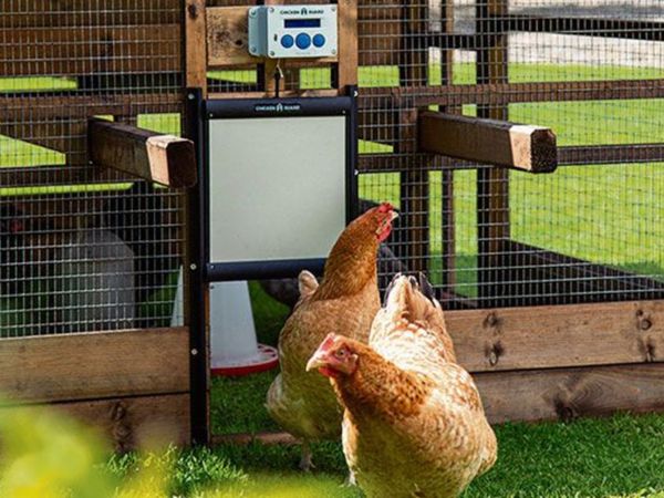 ChickenGuard Poultry House Door Openers & Doors