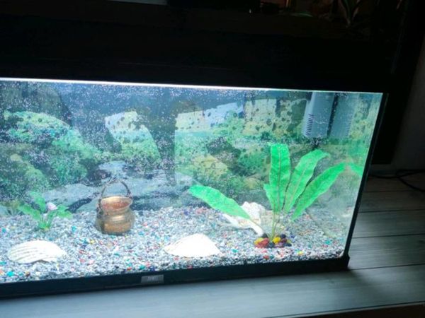 90l Aquarium Tank