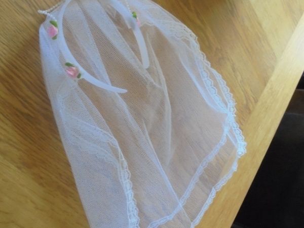 Bride to Be Veil for Sale
