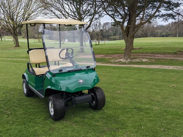 Golf best sale buggy board