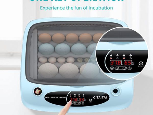BRAND NEW 15 Eggs Incubator Automatic Brooder