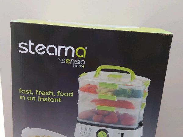 Electric steamer