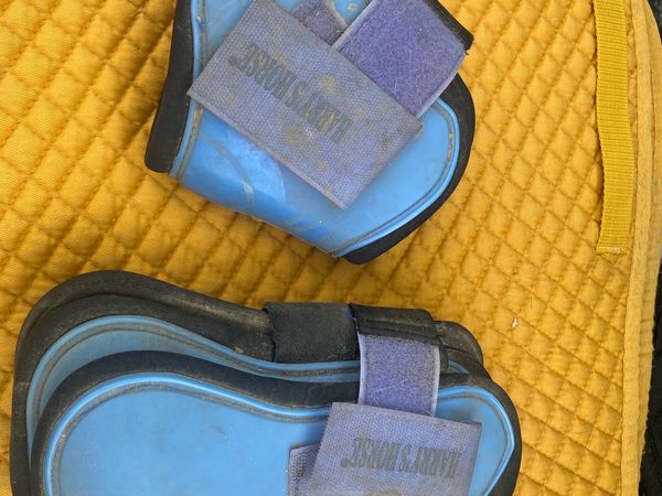 Blue tendon and fetlock boots